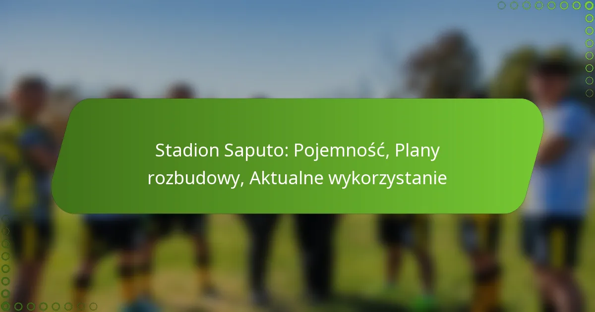 Stadion Saputo: Pojemność, Plany rozbudowy, Aktualne wykorzystanie