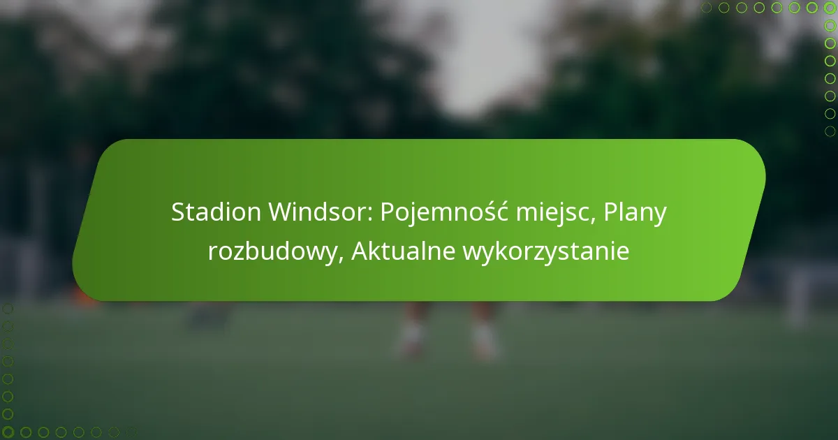 Stadion Windsor: Pojemność miejsc, Plany rozbudowy, Aktualne wykorzystanie